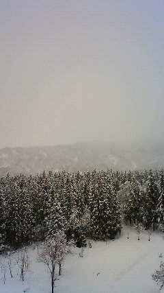 e0045797_13175814.jpg
