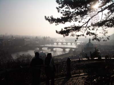 f0188600_8201164.jpg
