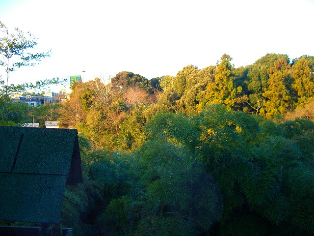 c0125702_049568.jpg