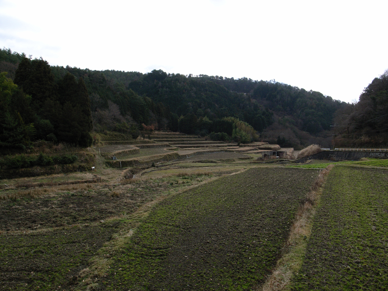 c0188008_132572.jpg