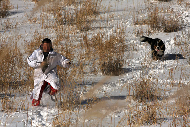 December 31, 2008　雪国紀行／秘密基地にて_f0137508_1742872.jpg