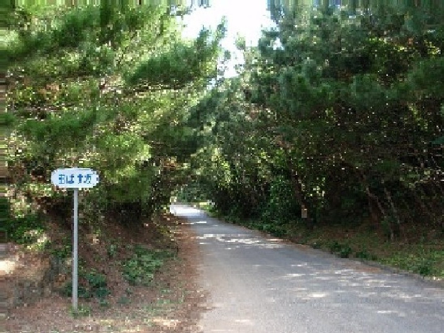 f0056412_1634182.jpg