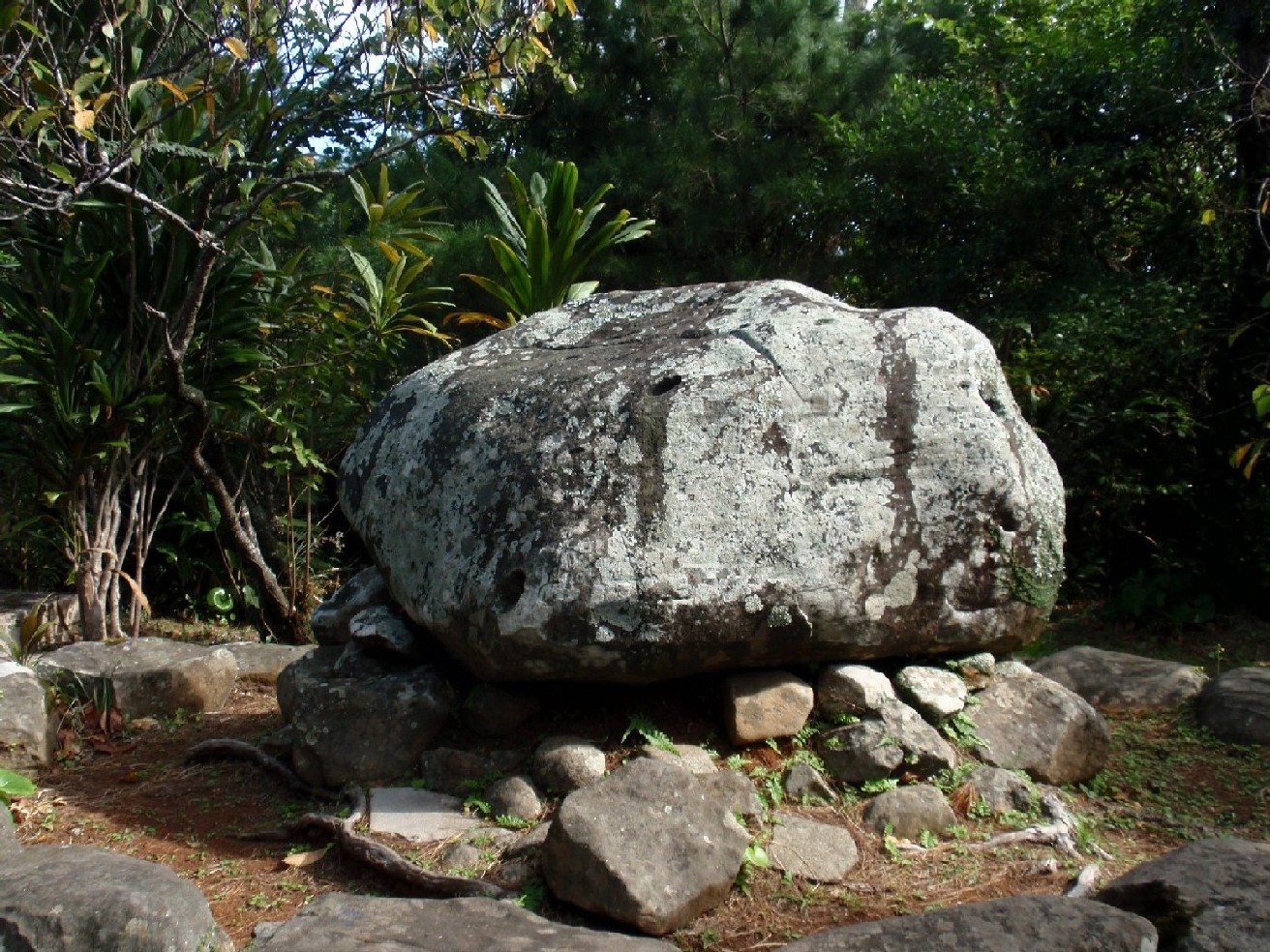 f0056412_17203998.jpg