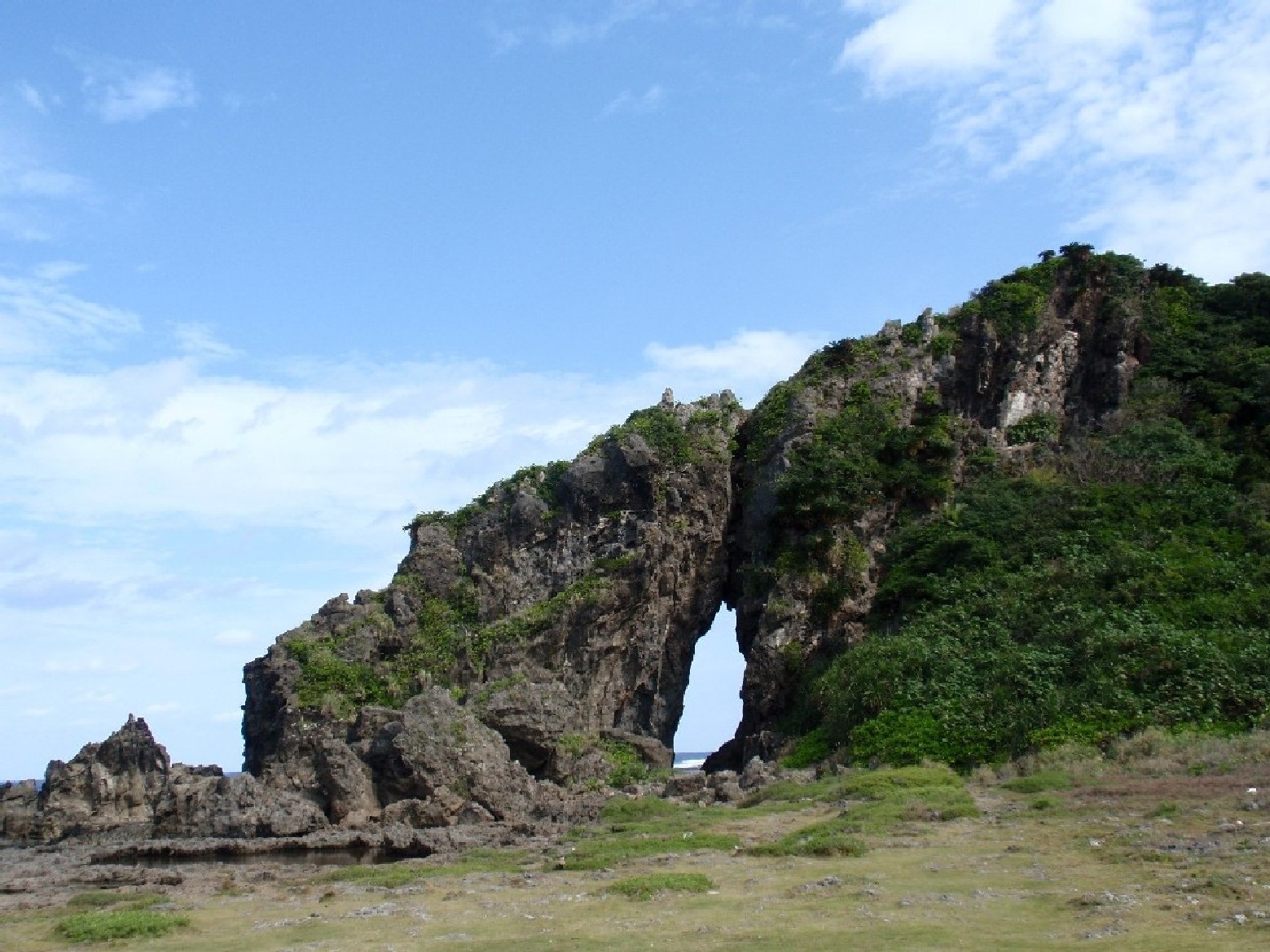 f0056412_17321953.jpg