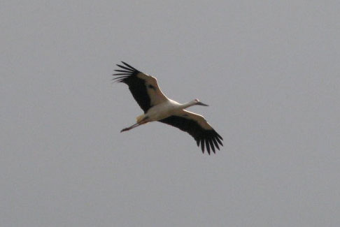 e0048413_1834547.jpg