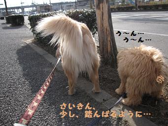 e0136815_1053311.jpg