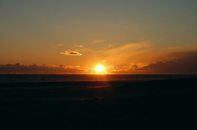 #431_e0071923_2233595.jpg