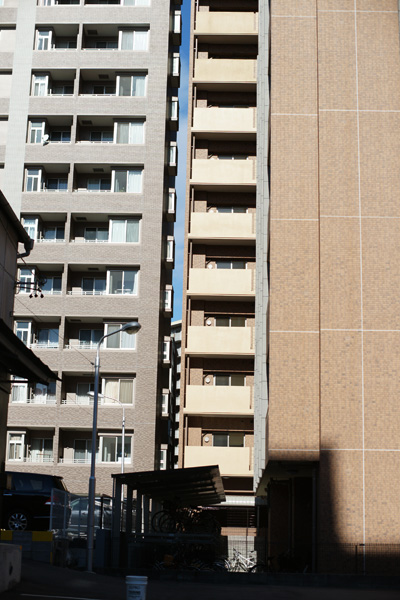 a0068424_0305225.jpg