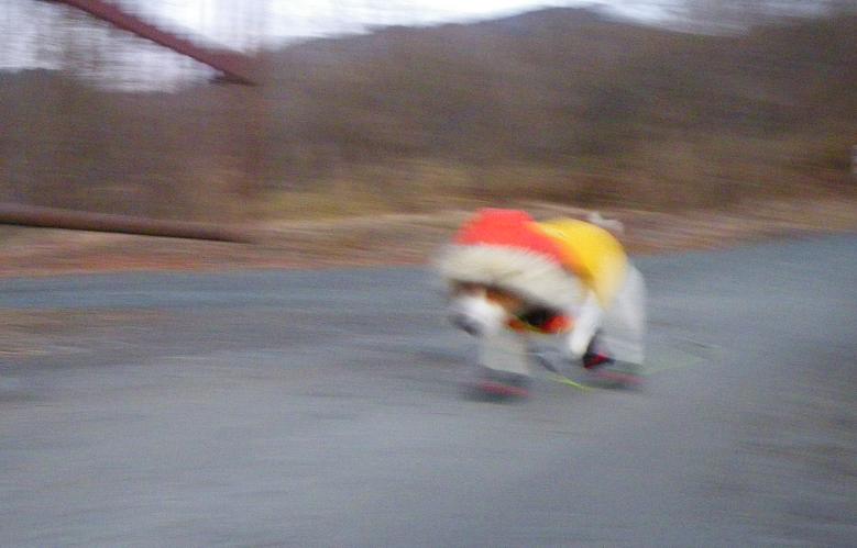 c0035931_10552473.jpg