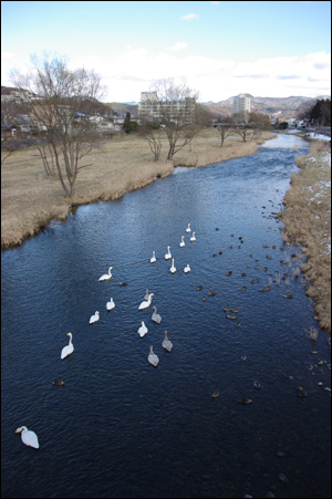 f0084138_9312594.jpg