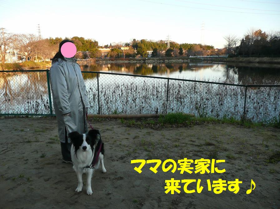 c0147241_2025251.jpg