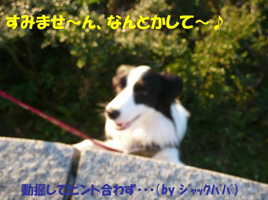 c0147241_20261459.jpg