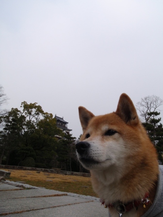 年末年始　広島への旅　④　　宮島～広島市内　大晦日編_b0080342_12412913.jpg