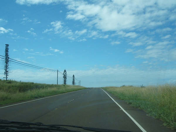 第四十回　Molokai island, Hawaii_f0183347_1915494.jpg