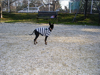 c0123149_1645127.jpg