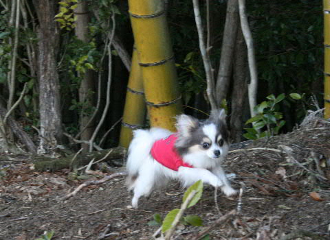 b0137459_21234317.jpg