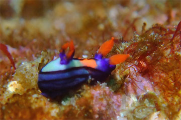 2009/01/03 Sat._e0158261_13503156.jpg