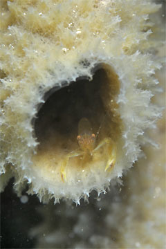 2009/01/03 Sat._e0158261_13522268.jpg
