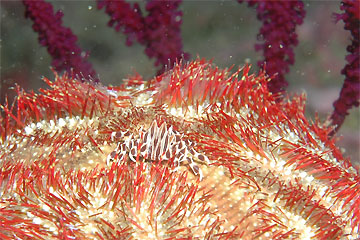 2009/01/03 Sat._e0158261_13532963.jpg
