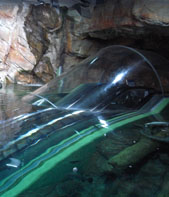 b0051666_13452642.jpg