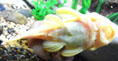 b0051666_13461089.jpg