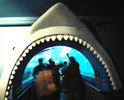 b0051666_1347395.jpg