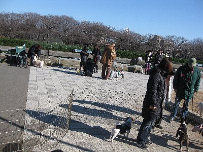 駒沢公園で新年会！_b0053973_8383038.jpg