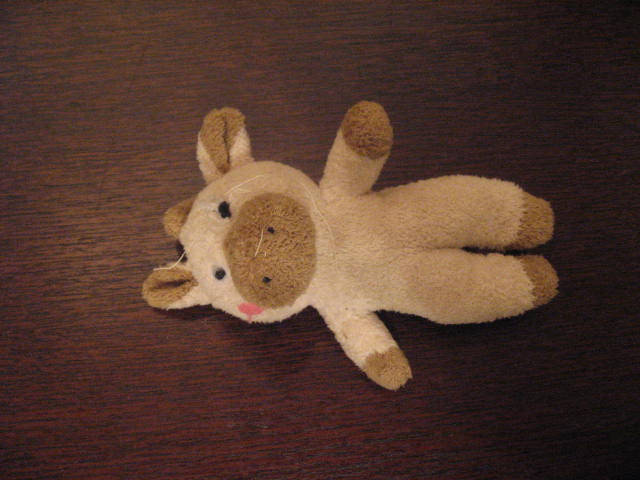 c0191375_2221383.jpg