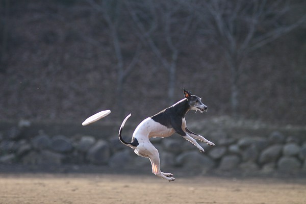 ニライG in 年末 12_c0109780_11302026.jpg