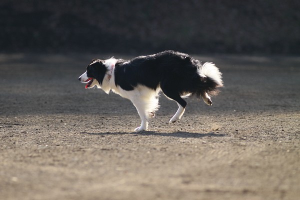 ニライG in 年末 12_c0109780_11305194.jpg