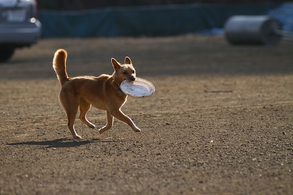 ニライG in 年末 12_c0109780_1130558.jpg