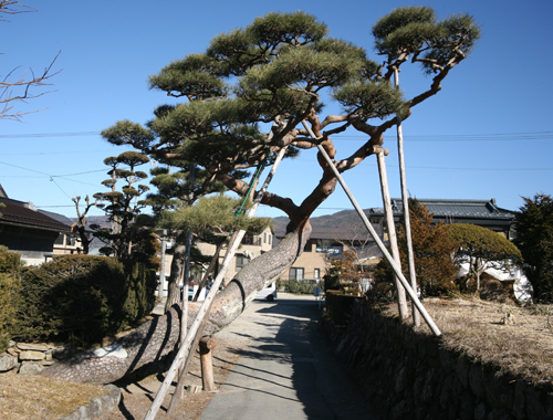 c0152883_13101776.jpg