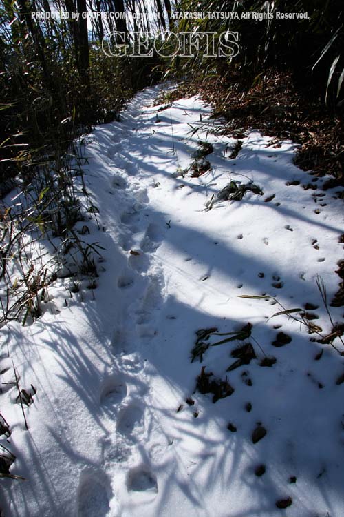 元旦の山行・奥秩父・白泰山_b0007284_12522377.jpg