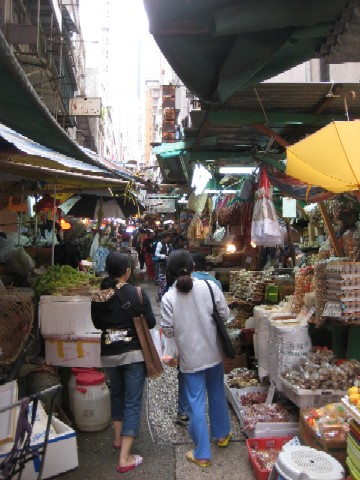 c0013687_2304879.jpg