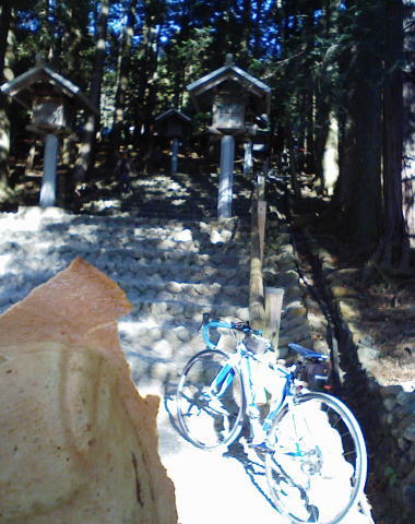 春野の秋葉神社から　くまの親子へ_c0087392_23163325.jpg