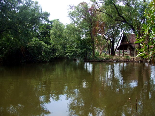 e0074192_1310946.jpg