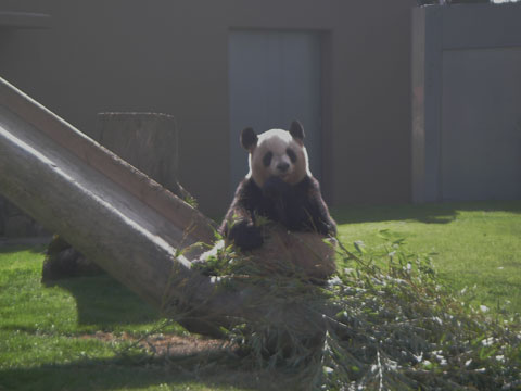 f0062101_21303133.jpg