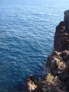 f0179202_1735628.jpg