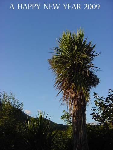 a0079306_17152100.jpg