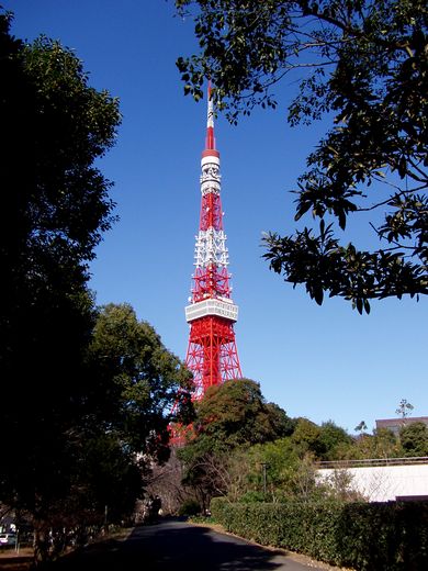 新春散歩　芝公園_c0051107_0123470.jpg