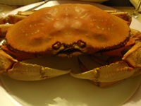 d0128712_17245046.jpg