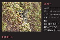 新作映画『のら暦*ねこ休みネコ遊ビ*』DVD・仮の水by リービ英雄_f0006713_254533.jpg