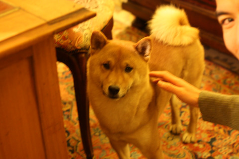 c0126120_5343923.jpg