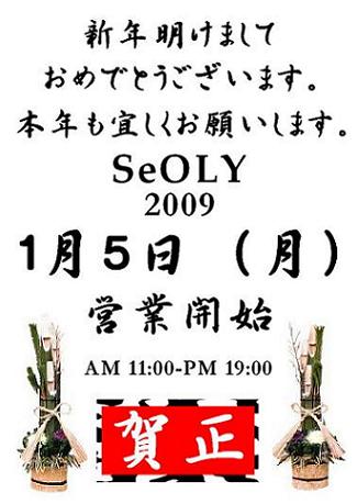 明けましておめでとうございます!_c0170520_1744466.jpg