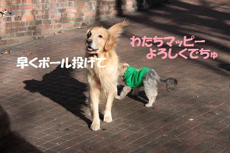1月3日 清里へ_f0114128_10545918.jpg