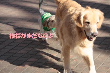 1月3日 清里へ_f0114128_105932.jpg