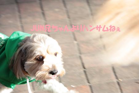 1月3日 清里へ_f0114128_1102155.jpg