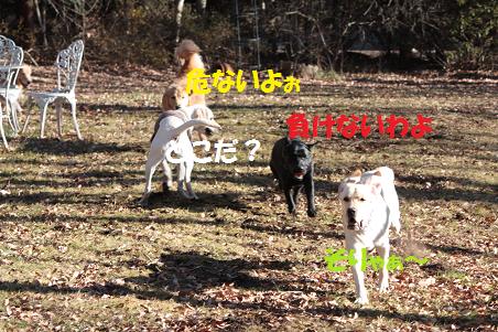 1月3日 清里へ_f0114128_11113039.jpg