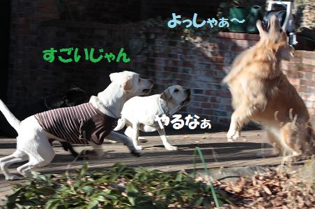 1月3日 清里へ_f0114128_11161875.jpg