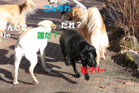 1月3日 清里へ_f0114128_119215.jpg